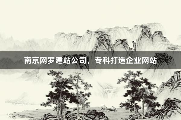 南京网罗建站公司，专科打造企业网站