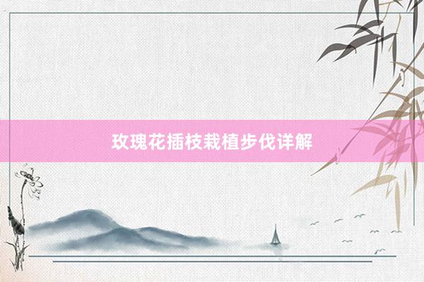 玫瑰花插枝栽植步伐详解