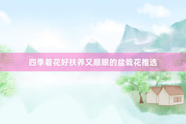 四季着花好扶养又顺眼的盆栽花推选